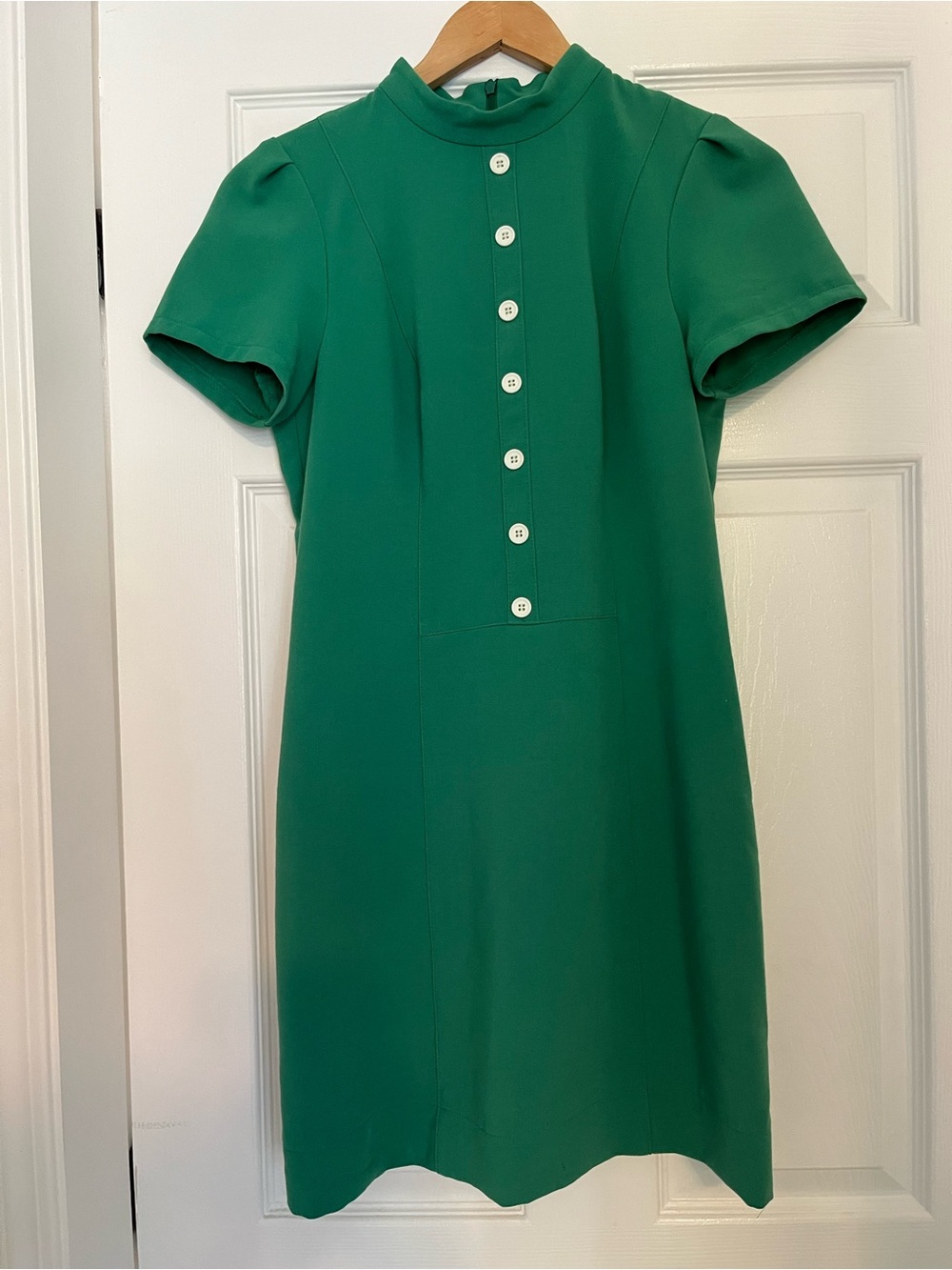Birds of North America Apalis dress in green
